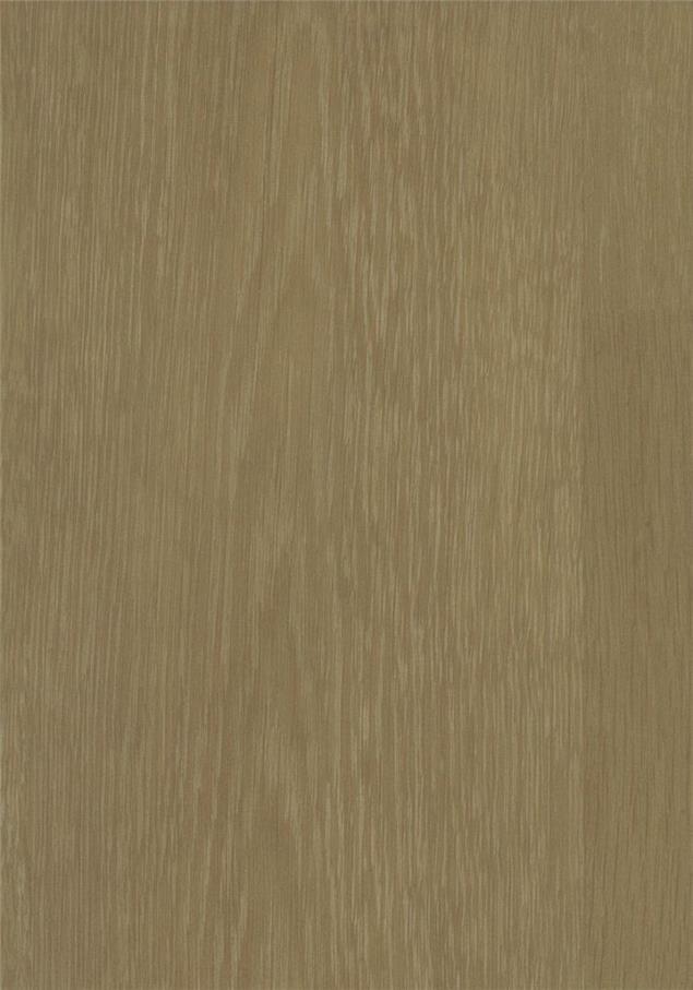 K6232-11 箐木