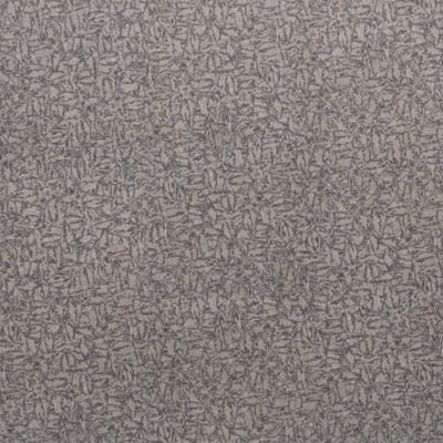 VSCA606 戈壁黑