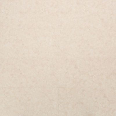 VSSE204 米金岩