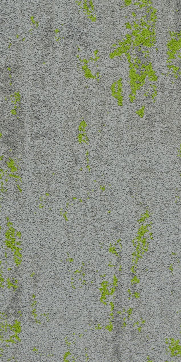 S00C1512-12 染春