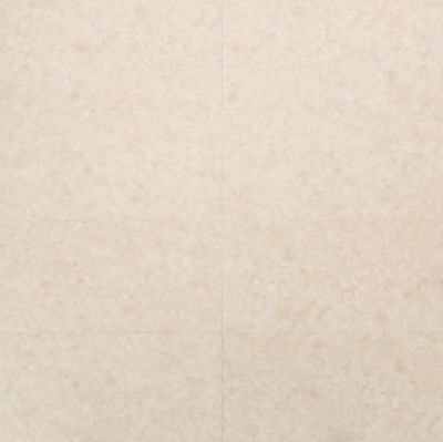 SE204 米金岩
