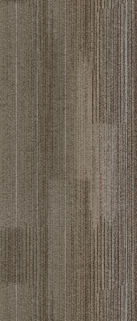 CA660 沙韵