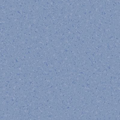 K6652-07A 勿忘我