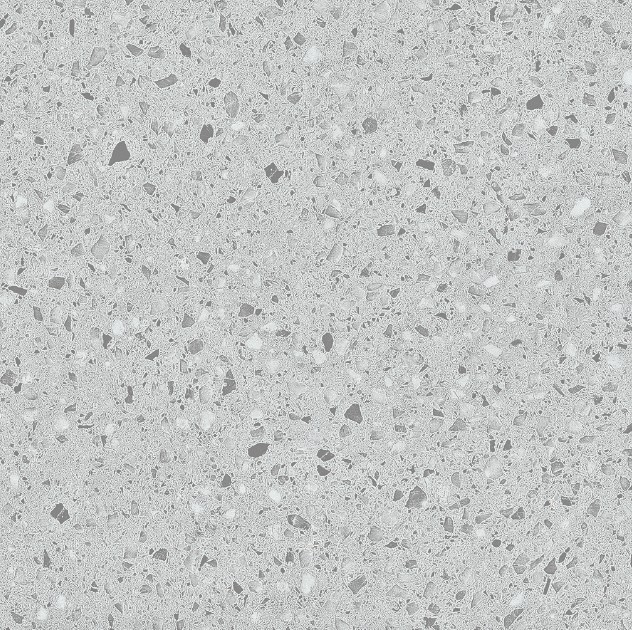 K6161-04A 石韵
