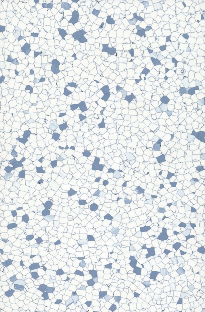 1013-6001N 蓝星