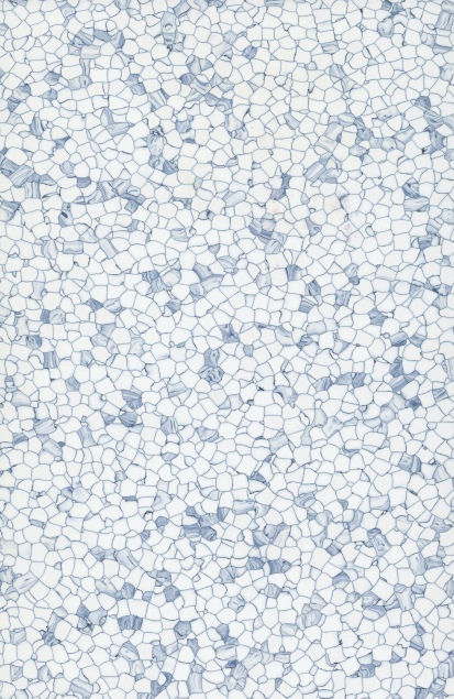 1013-6002N 薄雾