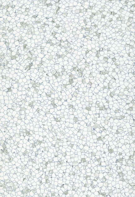 1013-8002N 繁星