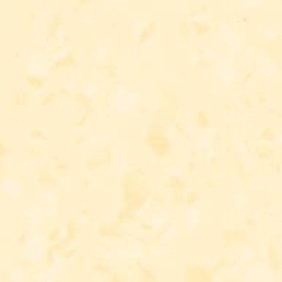 0221 玉米