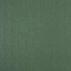 EAM9516 Green
