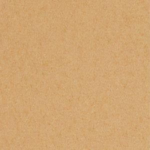 EQF2455 Orange