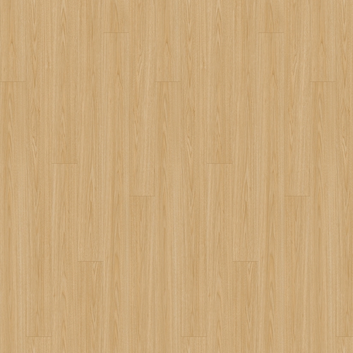 CP28001 Brown
