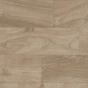 BSC2511 Brown