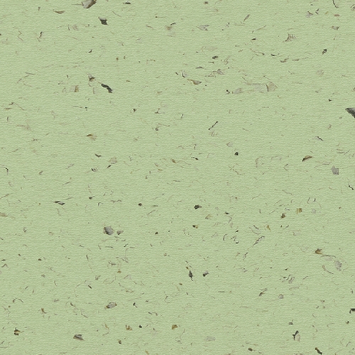 SMU4209 Green